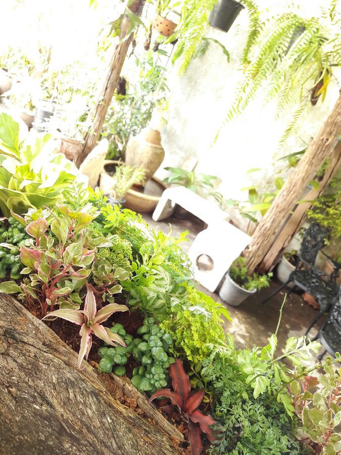 Muang Khon Guest House Nakhon Si Thammarat Dış mekan fotoğraf